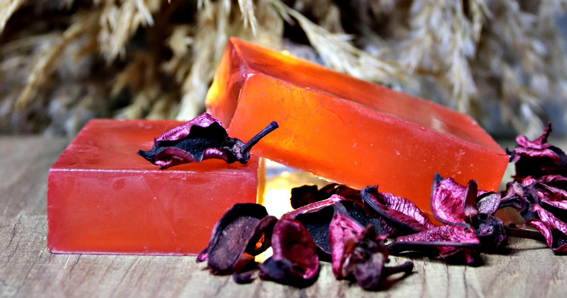 Aloe Naz