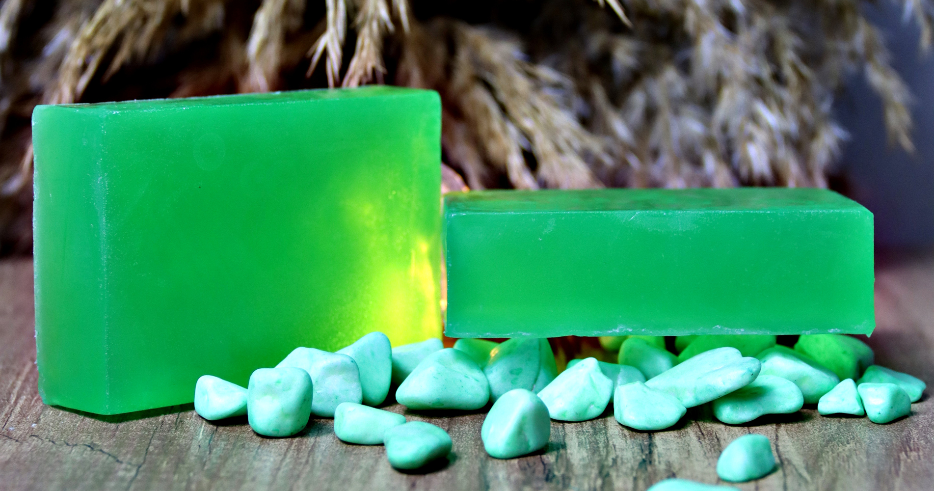 Aloe Naz