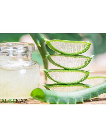 ALOEVERA YAPRAK SUYU 1 kg